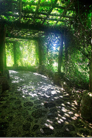 Alley in plants in Altos de Chavon, Dominican Republic