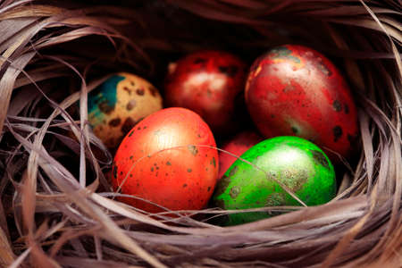 Colorful Speckled Easter Egg close up