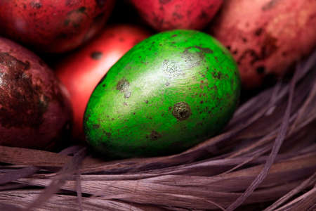 Colorful Speckled Easter Egg close upの写真素材