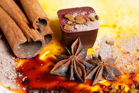 Chocolate candy isolated with anice and cinnamonの写真素材