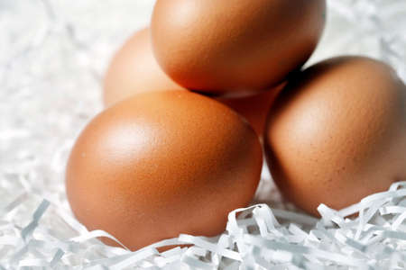 Four brown eggs fresh in paperの写真素材