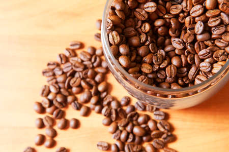 Coffee beans in studio shot close-upの写真素材