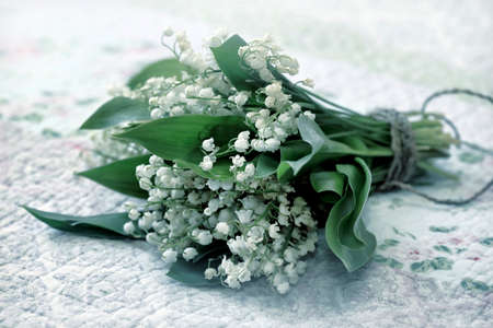 bouquet of lilies of the valleyの写真素材