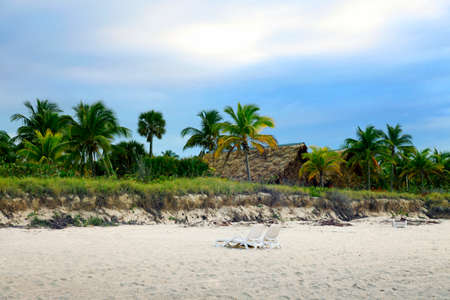 Cuban beach with sun lounger and palm on sunset. Varaderoの写真素材