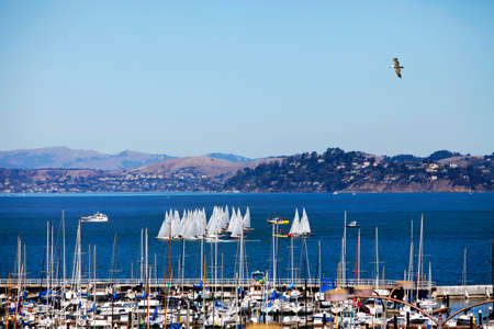 Group of sailboats in San Francisco Bay against the backdrop of the city of Sausolito