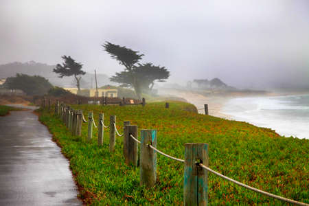 Foggy morning in California. USA, Half Moon Bay.の写真素材