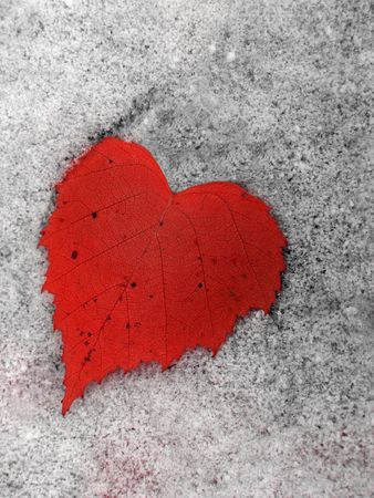 Red heart of winter
