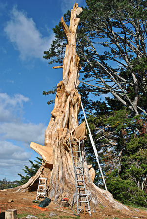 tree wood sculpture with different laddersの写真素材