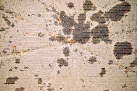 empty greasy oily pizza card board boxの写真素材