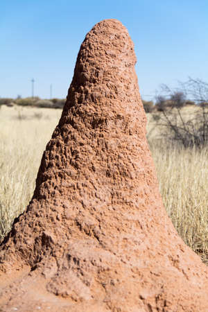 Temite Mountの写真素材