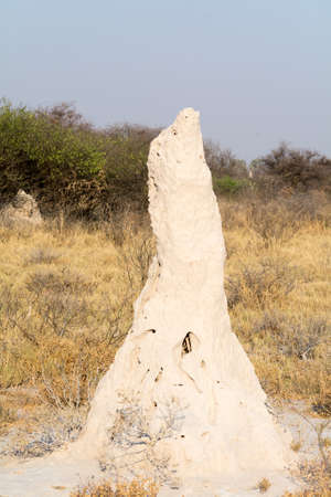 Termine Mountの写真素材