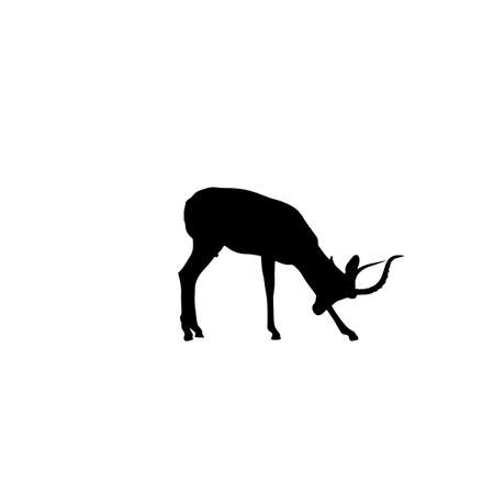 Walking Impala Antelope, standing with head down - Silhouette - digitally hand drawn Vector Illustrationのイラスト素材