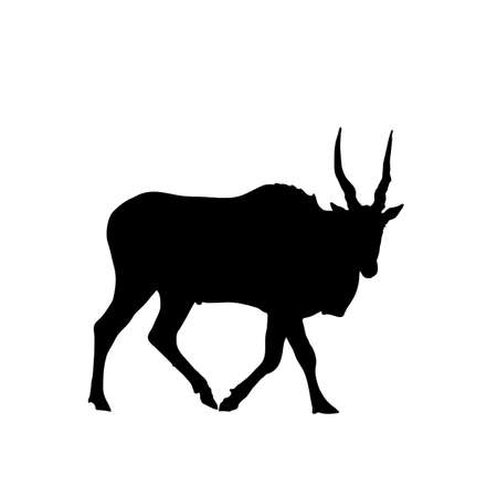 Eland Antelope - Silhouette - digitally hand drawn Vector Illustrationのイラスト素材