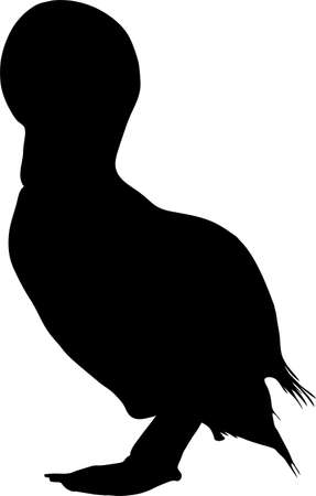 Silhouette of a duckling, standing - digitally hand drawn illustrationのイラスト素材