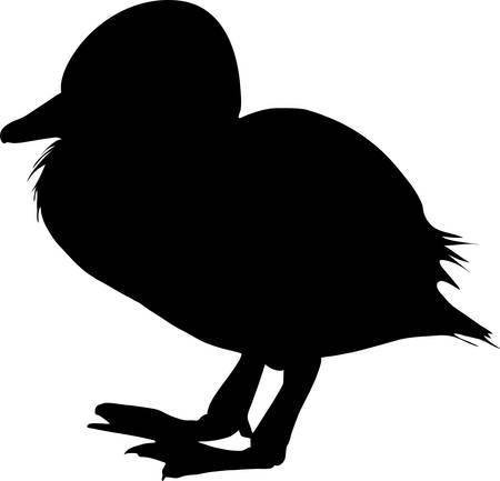 Silhouette of a duckling, standing - digitally hand drawn illustrationのイラスト素材