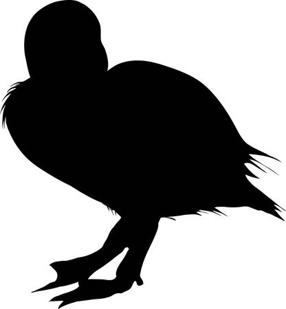 Silhouette of a duckling of a common duck - digitally hand drawn illustrationのイラスト素材