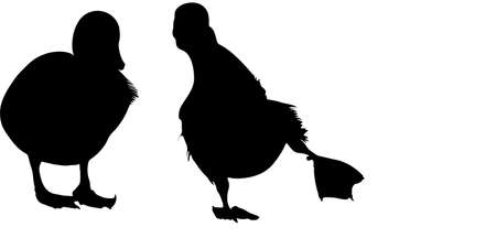 Silhouette of two graylag goose chicken playing - digitally hand drawn illustrationのイラスト素材