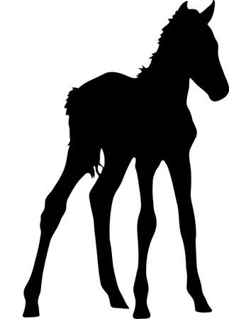 Silhouette of a garub desert wild horse kitten - digitally hand drawn illustrationのイラスト素材