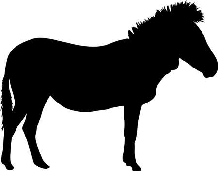 Silhouette of a hartmann mountain zebra, standing - digitally hand drawn vector illustrationのイラスト素材