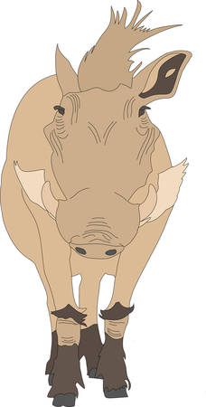 Hand-drawn portrait of a standing warthog.のイラスト素材