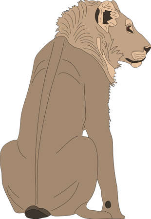 Hand drawn portrait of a wild lion - colored vector Illustration isolated on white backgroundのイラスト素材