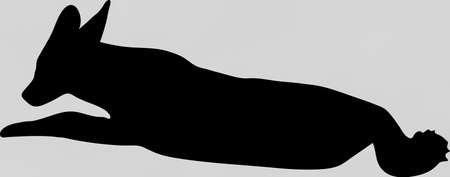 Hand drawn silhouette of a wild black backed jackal - Illustration, black isolated on white backgroundのイラスト素材