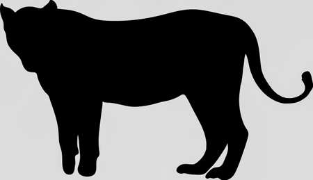 Hand drawn silhouette of a wild Lion - Illustration, black isolated on white backgroundのイラスト素材