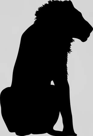 Hand drawn silhouette of a wild Lion - Illustration, black isolated on white backgroundのイラスト素材