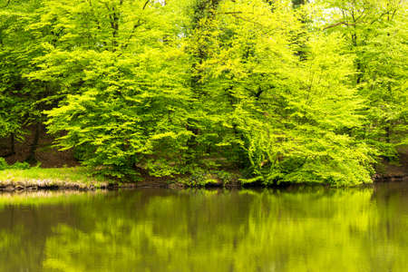view of a lake with reflection of trees - seen at nature reserve wahner heide near cologne, germanyの写真素材