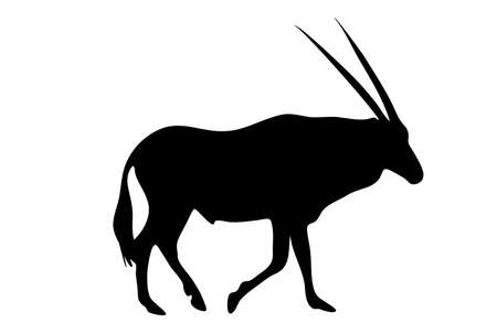 View on the silhouette of a gemsbok - digitally hand drawn vector illustraionのイラスト素材