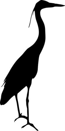 View on the silhouette of a gray heron - digitally hand drawn vector illustraionのイラスト素材