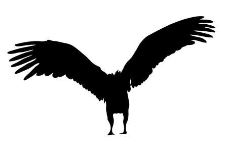 View on the silhouette of a african vulture - digitally hand drawn vector illustraionのイラスト素材