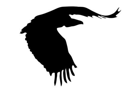 View on the silhouette of a african vulture - digitally hand drawn vector illustraionのイラスト素材