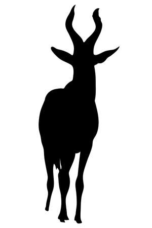 View on the silhouette of a red hartebeest - digitally hand drawn vector illustraionのイラスト素材