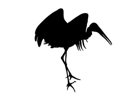 Digitally handdrawn Silhouette of a stork isolated on white backgroundのイラスト素材
