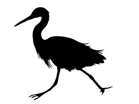 Digitally handdrawn Silhouette of a sea bird isolated on white backgroundのイラスト素材