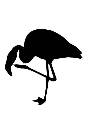 Digitally handdrawn Silhouette of a flamingo isolated on white backgroundのイラスト素材