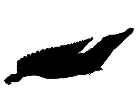 Digitally handdrawn Silhouette of a crocodile isolated on white backgroundのイラスト素材