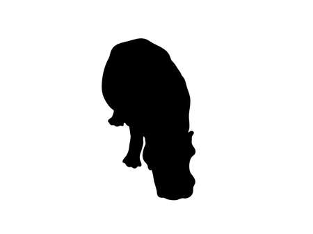 Digitally handdrawn Silhouette of a hippo isolated on white backgroundのイラスト素材