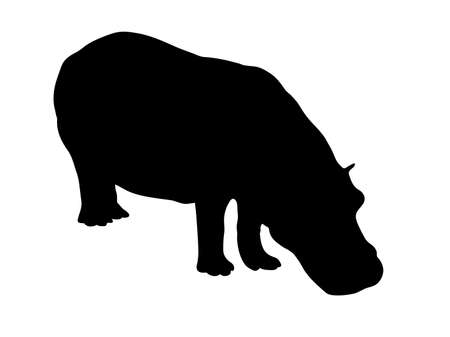 Digitally handdrawn Silhouette of a hippo isolated on white backgroundの写真素材