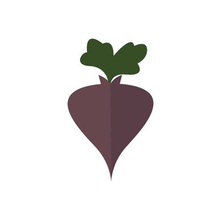 Healthy vegetable foodのイラスト素材