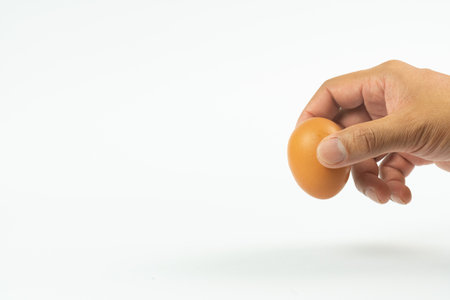 The eggs on a white backgroundの写真素材