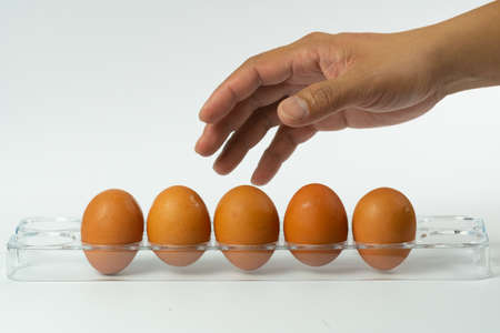 The eggs on a white backgroundの写真素材