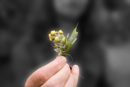 person handing a tiny bouquet of flowersの写真素材