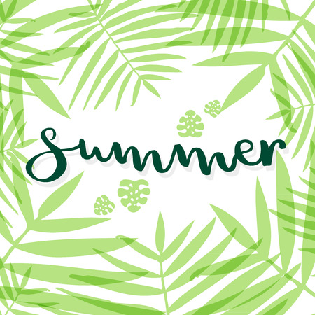 Summer lettering. Tropical leaves. Vector illustration, flat designのイラスト素材