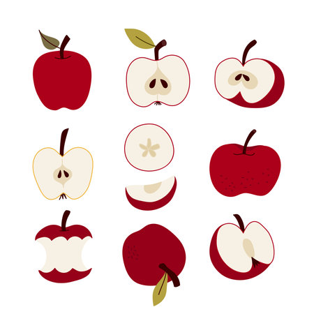 Doodle set of red apples. Slices, sections, bite. Vector illustration, flat designのイラスト素材