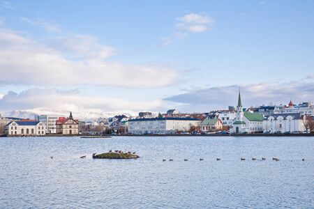 Ducks and swans on the lake Tjornin in Reykjavik, Icelandのeditorial素材