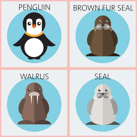 Abstract illustration with colored sea animals set in round frames, a penguin, walrus, brown fur walrus and seal, over a white background. Digital vector image.のイラスト素材