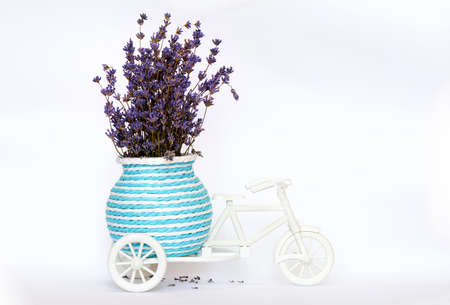 Lavender in a white decorative bicycle, over a white backgroundの写真素材