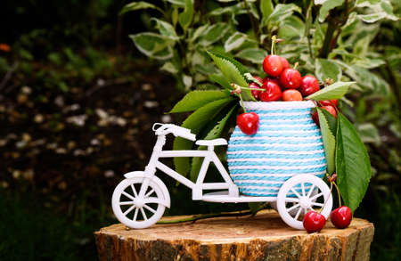 Photo of a white bicycle with cherries and leaves on baggage on a tree stump.の写真素材
